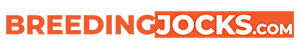 BreedingJocks